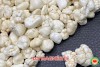 Đá Magnésite: Ý Nghĩa, Tác Dụng và Ứng Dụng Trong Thạch Trị Liệu (bài 76)