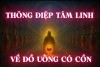 Thông Điệp Tâm Linh Về Đồ Uống Có Cồn (Bài 02)