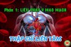 Liệu Pháp Y Mao Mạch: Hiểu Đúng "Thống Bất Thông, Thông Bất Thống" (bài 24)
