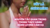 Trở Thành Chính Mình: Chìa Khóa Để Chữa Lành Bằng Năng Lượng Cảm Xạ (bài 9)