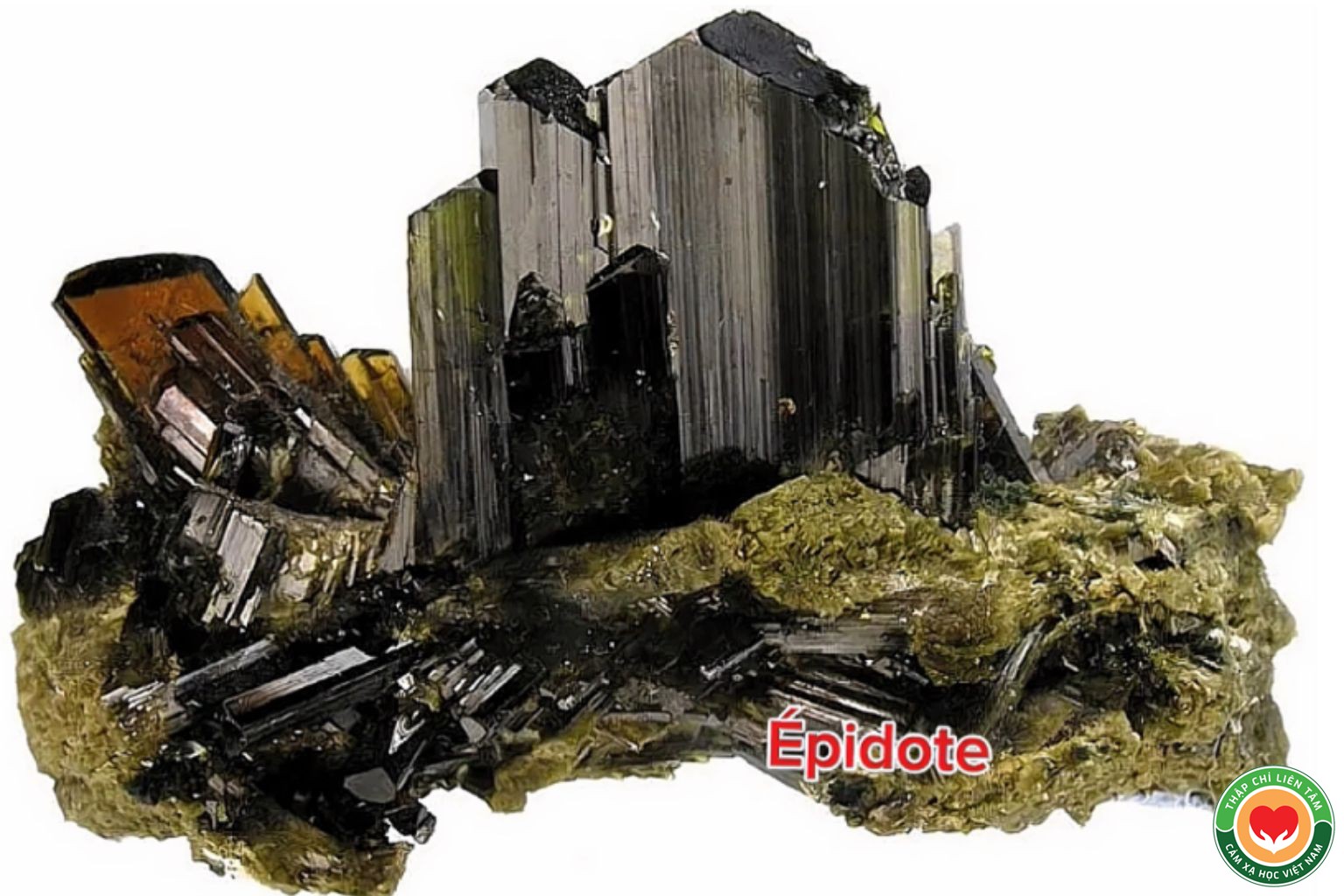 Đá Épidote: Ý Nghĩa, Tác Dụng Chữa Lành và Ứng Dụng (bài 62)
