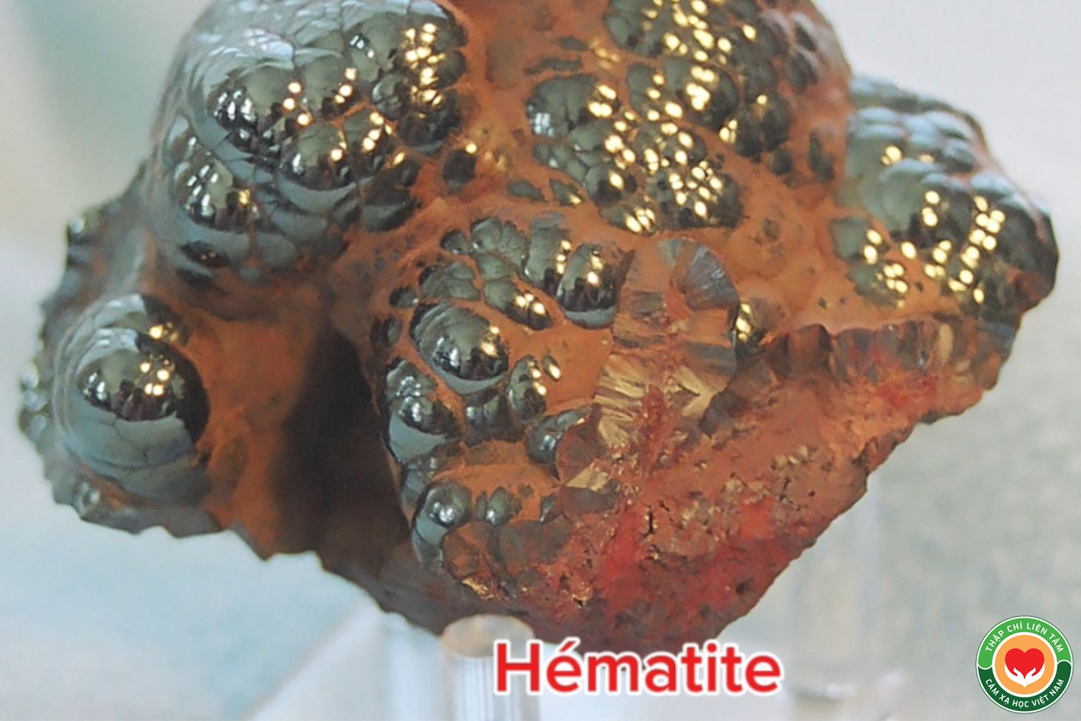 Đá Hématite (Hematit): Ý Nghĩa, Tác Dụng Bảo Vệ và Tăng Cường Sinh Lực (bài 66)