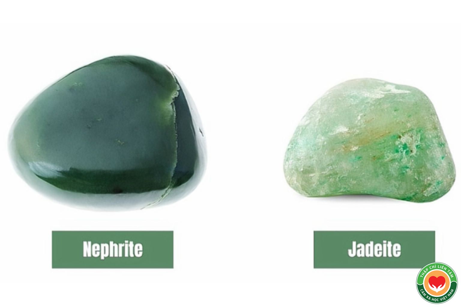 Đá Jade (Ngọc Bích): Ý Nghĩa, Tác Dụng và Ứng Dụng (bài 68)