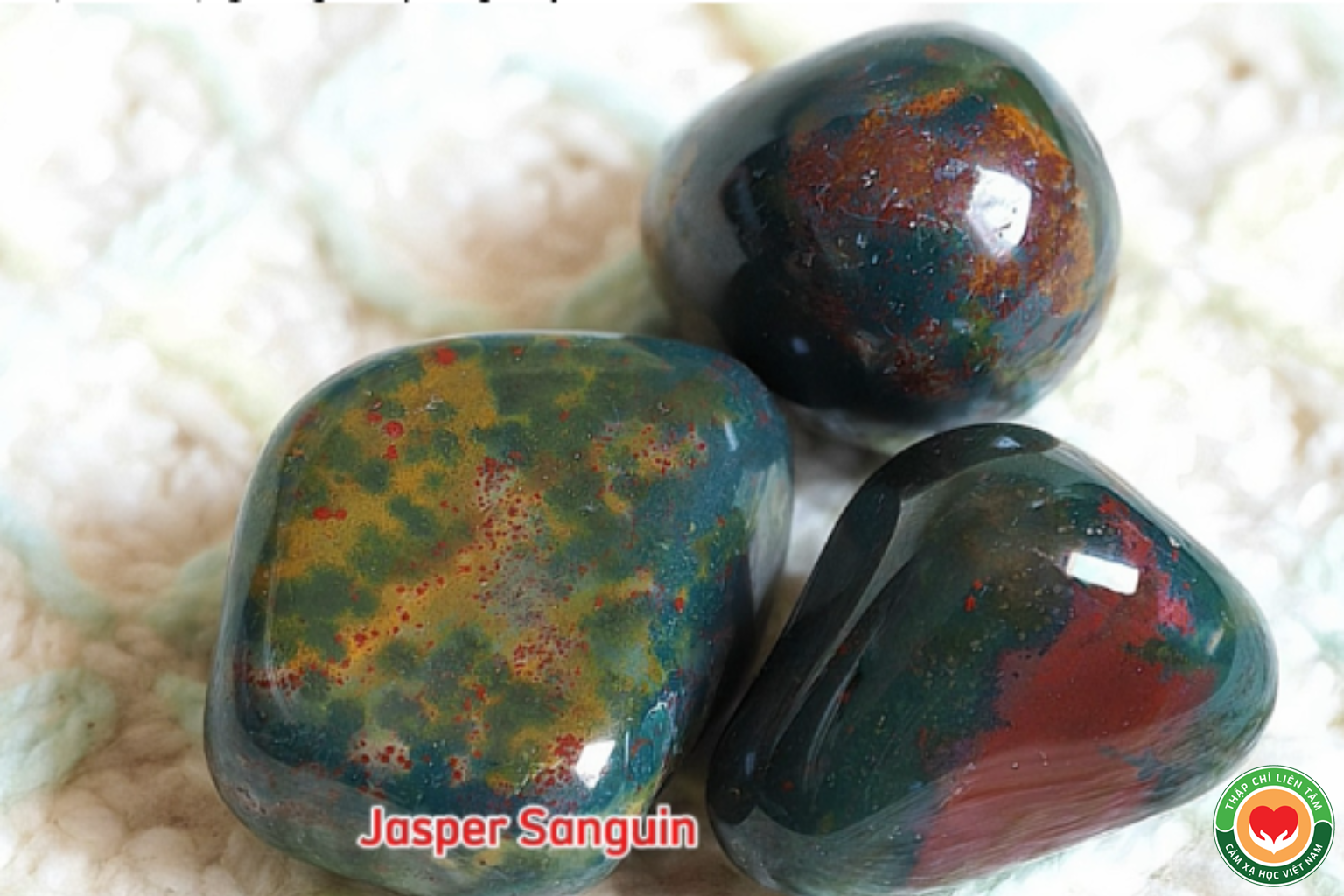 Đá Jasper Sanguin (Héliotrope): Ý Nghĩa, Tác Dụng và Ứng Dụng (bài 71)