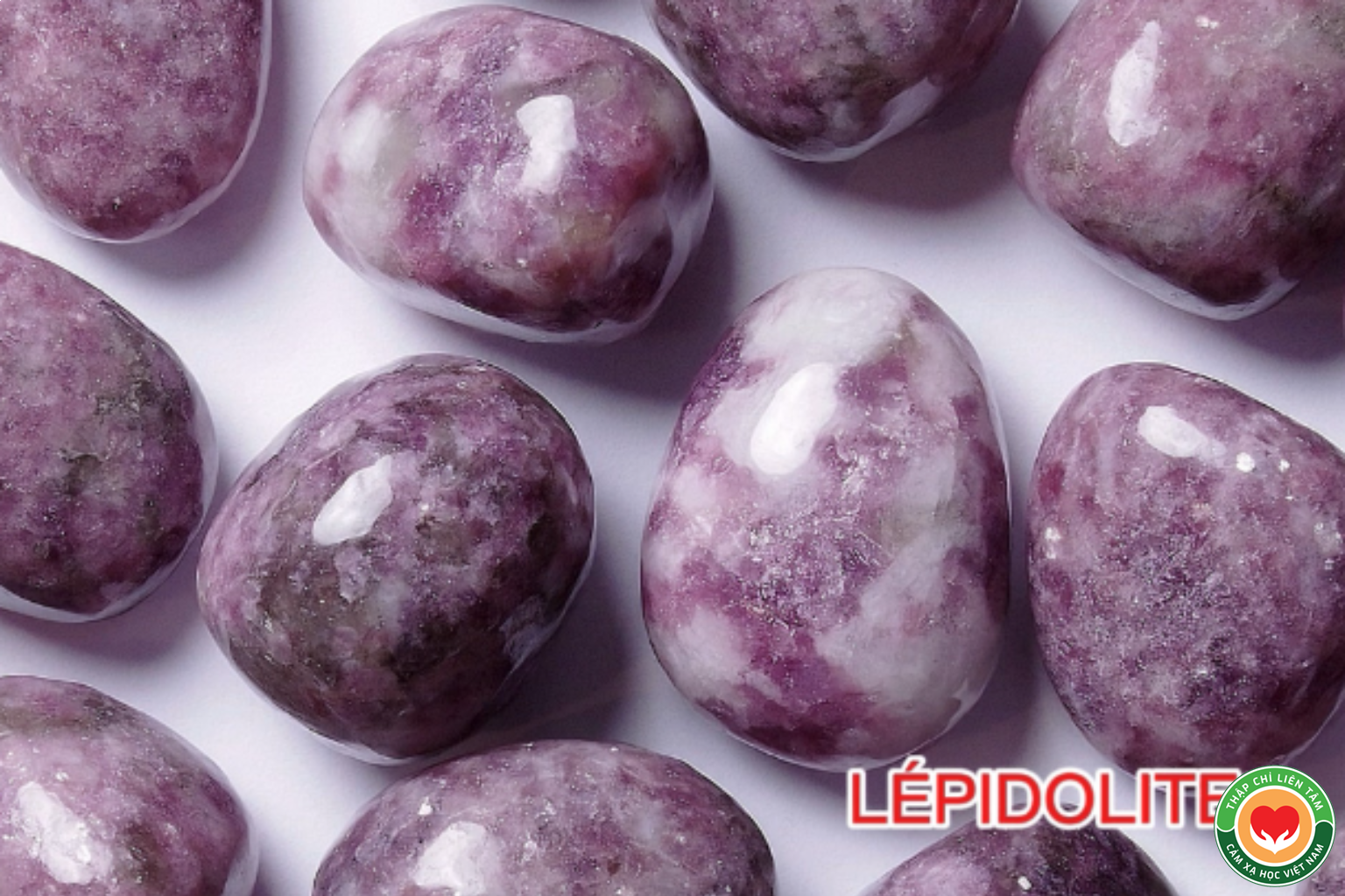 Đá Lepidolite: Ý Nghĩa, Tác Dụng Chữa Lành và Khả Năng Tiên Đoán (bài 75)