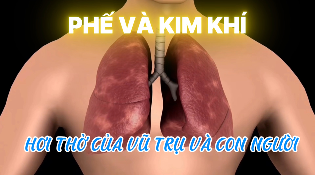 Phế Và Kim Khí – Hơi Thở Của Vũ Trụ Và Con Người (Bài 02)