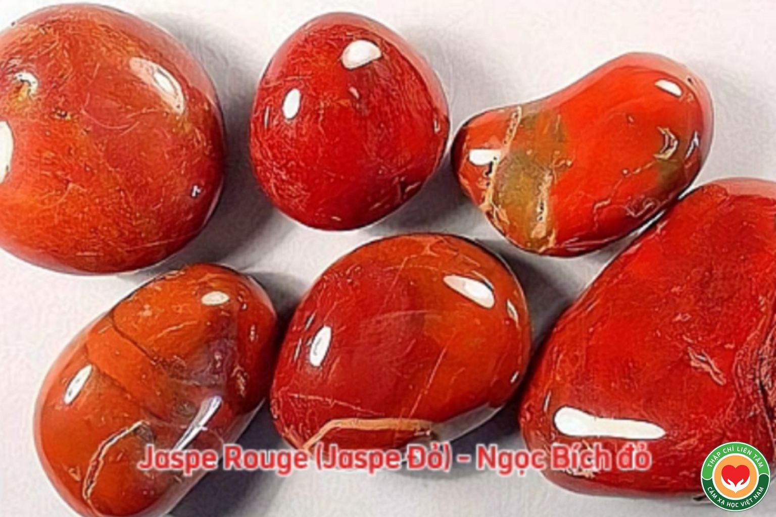 Jasper Đỏ (Ngọc Bích Đỏ): Ý Nghĩa, Tác Dụng và Ứng Dụng (bài 70)