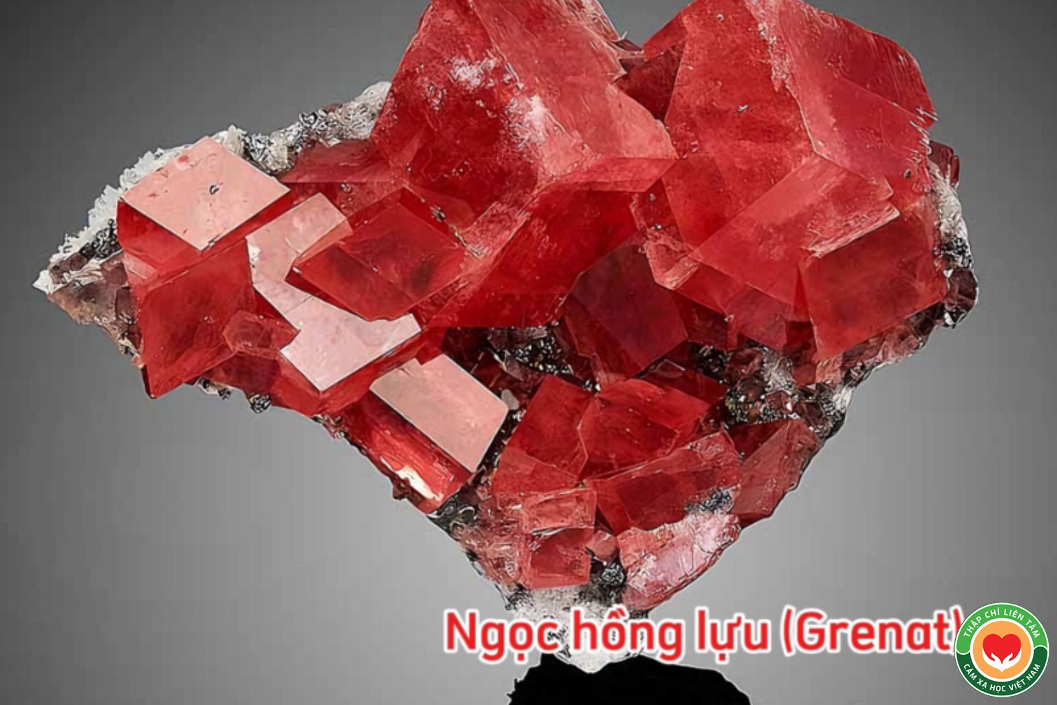 Ngọc Hồng Lựu (Garnet): Ý Nghĩa, Tác Dụng và Ứng Dụng (bài 65)