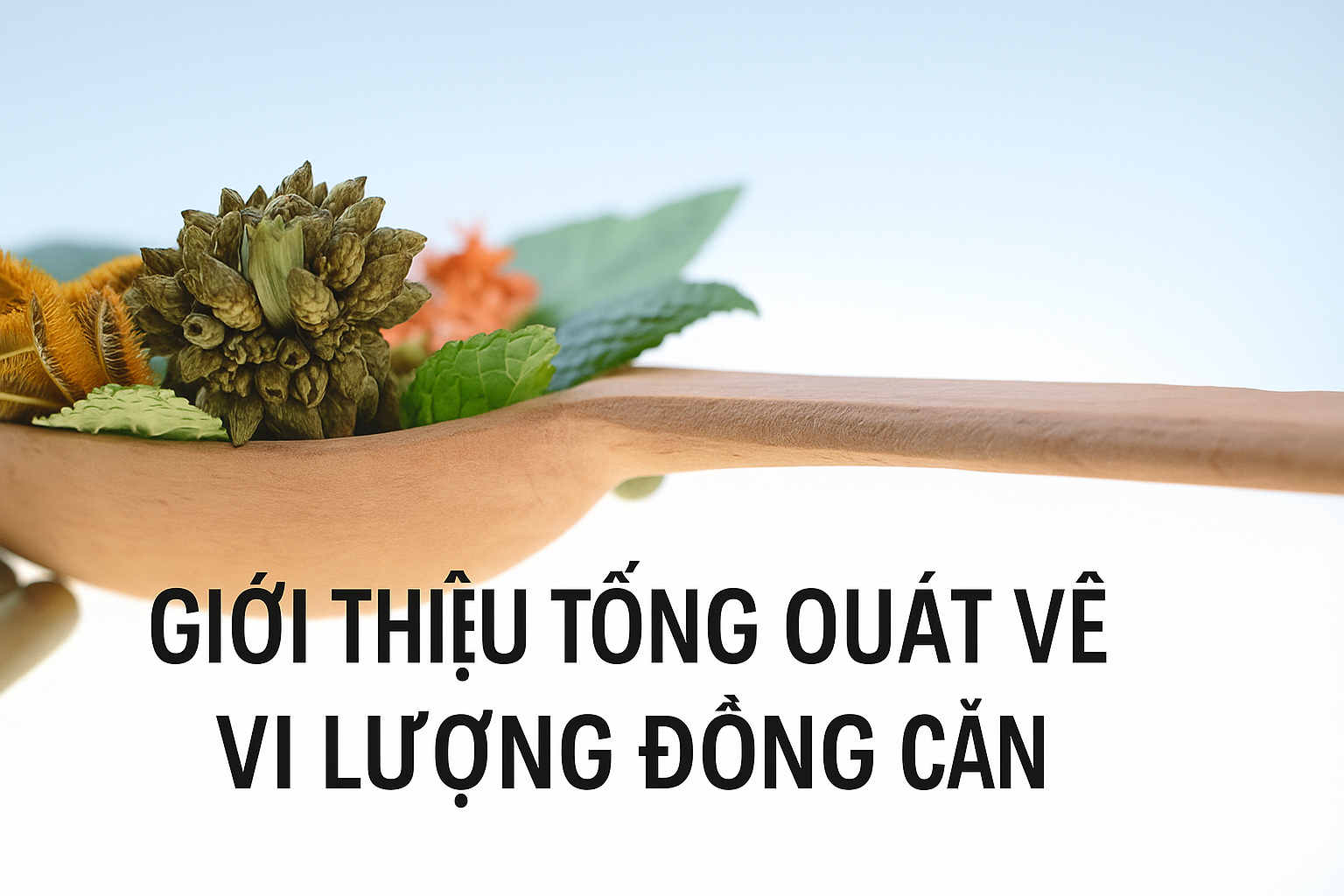 Nguồn Gốc Và Phân Loại Vi Lượng Đồng Căn (Bài 02)