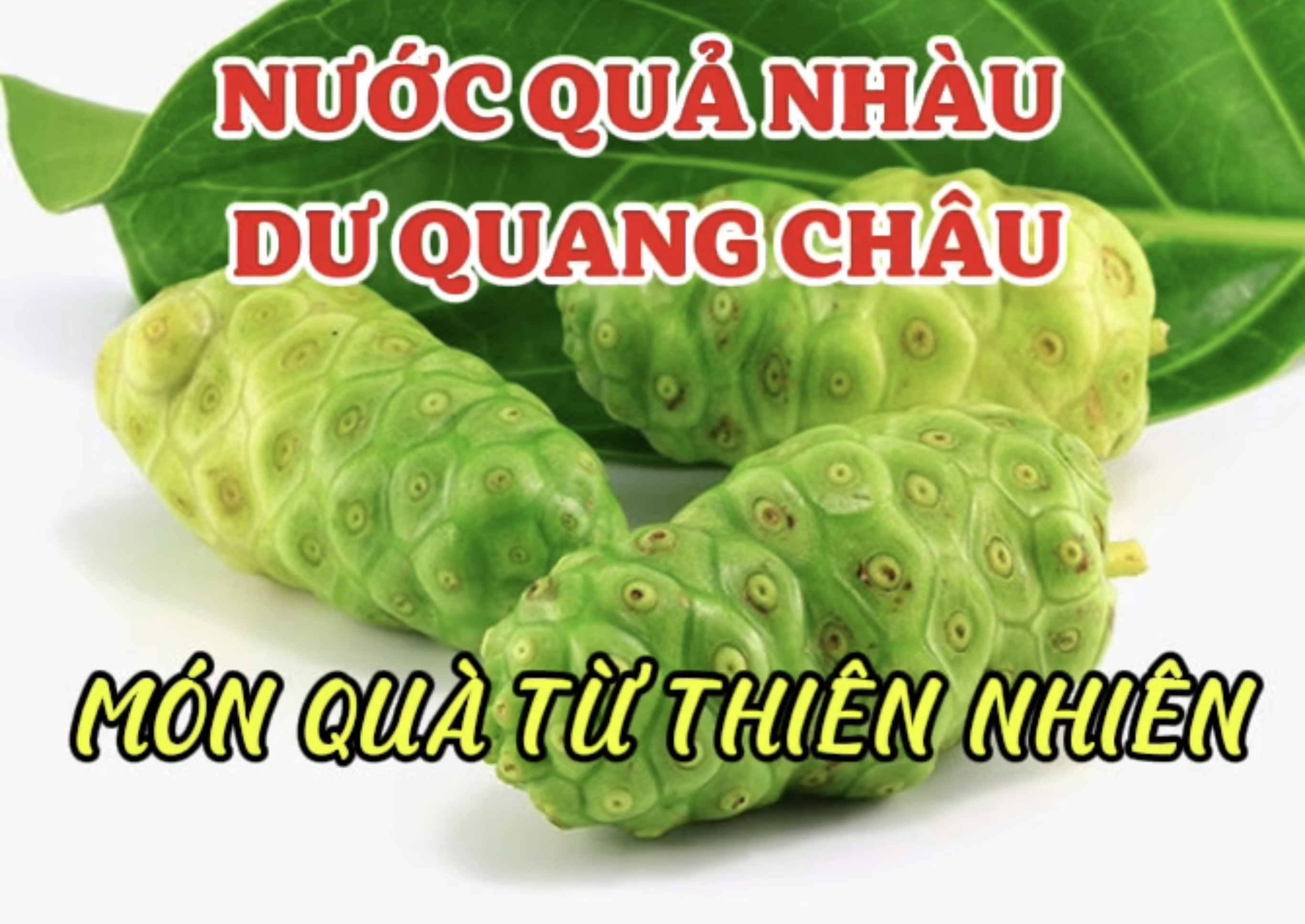 Công Dụng Tuyệt Vời Của Nước Quả Nhàu Dư Quang Châu – Món Quà Từ Thiên Nhiên (Bài 24)