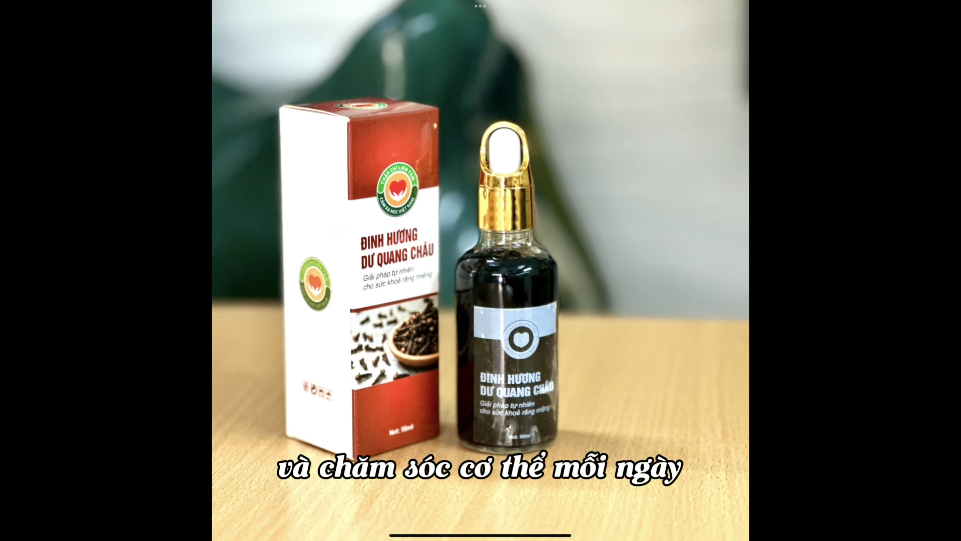 Tinh Dầu Đinh Hương Dư Quang Châu – Bí Quyết Chăm Sóc Sức Khỏe Từ Thiên Nhiên (Bài 26)