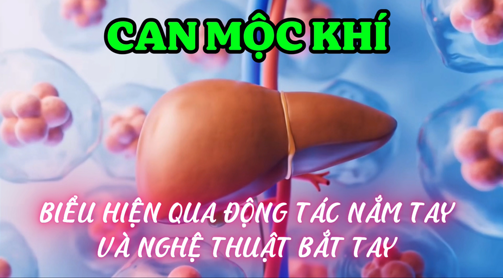 Triệu Chứng Nắm Tay Lại:  - Can Mộc Khí (Bài 03)