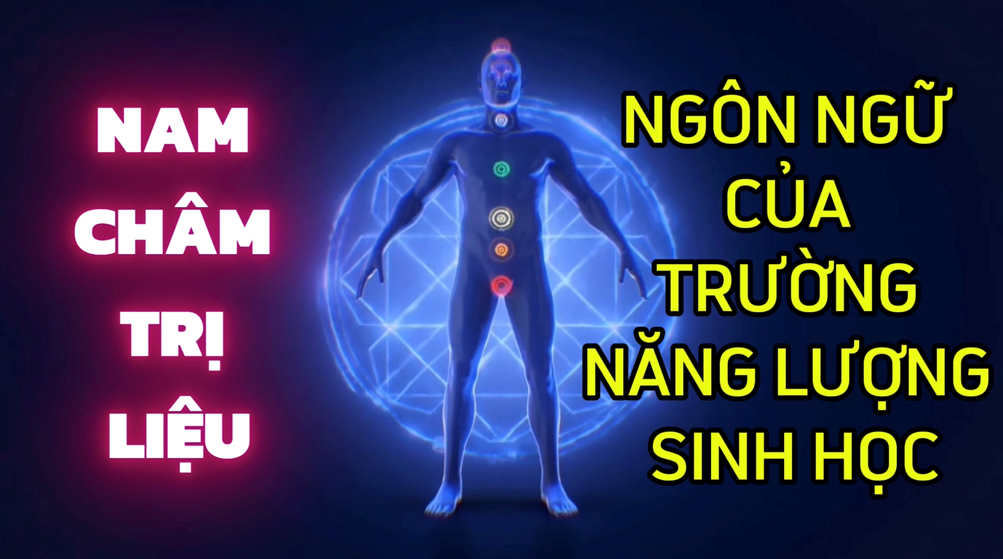 Nam Châm Trị Liệu – Ngôn Ngữ Của Trường Năng Lượng Sinh Học (Bài 02)