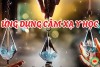 Cảm Xạ Y Học: Hệ Thống Hóa Kiến Thức Khoa Học Hiện Đại (bài 4)