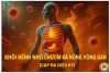 Khỏi Bệnh Nhờ Chườm Đá Nóng Vùng Gan (Cặp Đá Diệu Kỳ): Báo Cáo Thực Tế (bài 7)