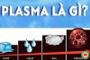 Liệu Pháp Plasma & Nhà Ở Tinh Tế (bài 9)