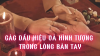 Các Dấu Hiệu Và Hình Tượng Trong Lòng Bàn Tay (Bài 12)