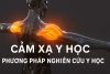 Cảm Xạ Y Học – Phương Pháp Nghiên Cứu Y Học (Bài 16)