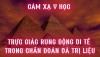 Trực Giác Rung Động Vi Tế Trong Chẩn Đoán Và Trị Liệu (Bài 17)