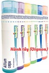 Kết Hợp Cảm Xạ Y Học Với Vi Lượng Đồng Căn (Bài 04)