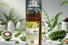 Tiềm Năng Phòng Chống Ung Thư Của Trái Nhàu (Noni): Tổng Quan Khoa Học (bài 10)