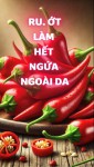 Chữa Ngứa Ngoài Da Bằng Ru. ớt (Bài 39)