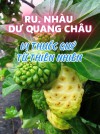 Ru. Nhàu Dư Quang Châu “Vị Thuốc Quý Từ Thiên Nhiên – Bí Mật Cho Sức Khỏe Toàn Diện” (Bài 40)