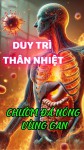 Chườm Đá Nóng Vùng Gan – Cách Đơn Giản Giữ Thân Nhiệt Ổn Định (Bài 40)