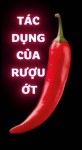 Tác Dụng Của Rượu Ớt – Câu Chuyện Thật Từ Người 72 Tuổi (Bài 53)