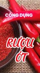 Công Dụng Của Rượu Ớt (Bài 65)