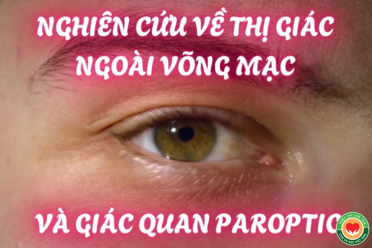 Bí Ẩn Về Thị Giác Ngoài Võng Mạc & Giác Quan Paroptic (bài 1)