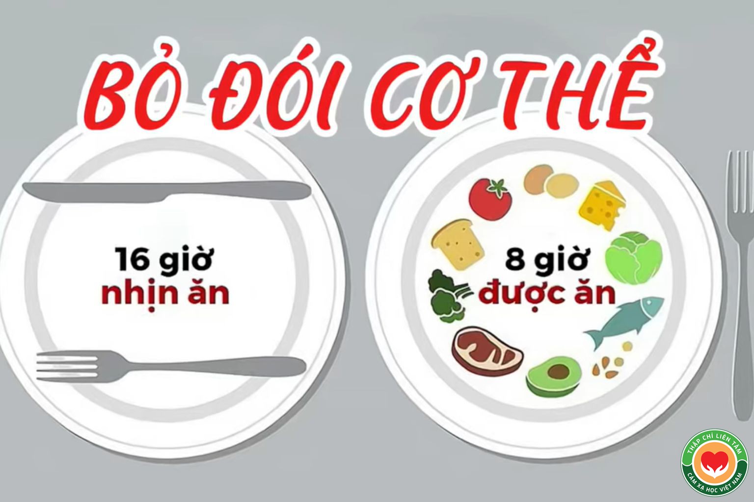 Bỏ Đói Cơ Thể: Kỹ Thuật Đánh Thức Tiềm Năng Chữa Lành Ẩn Giấu (bài 7)