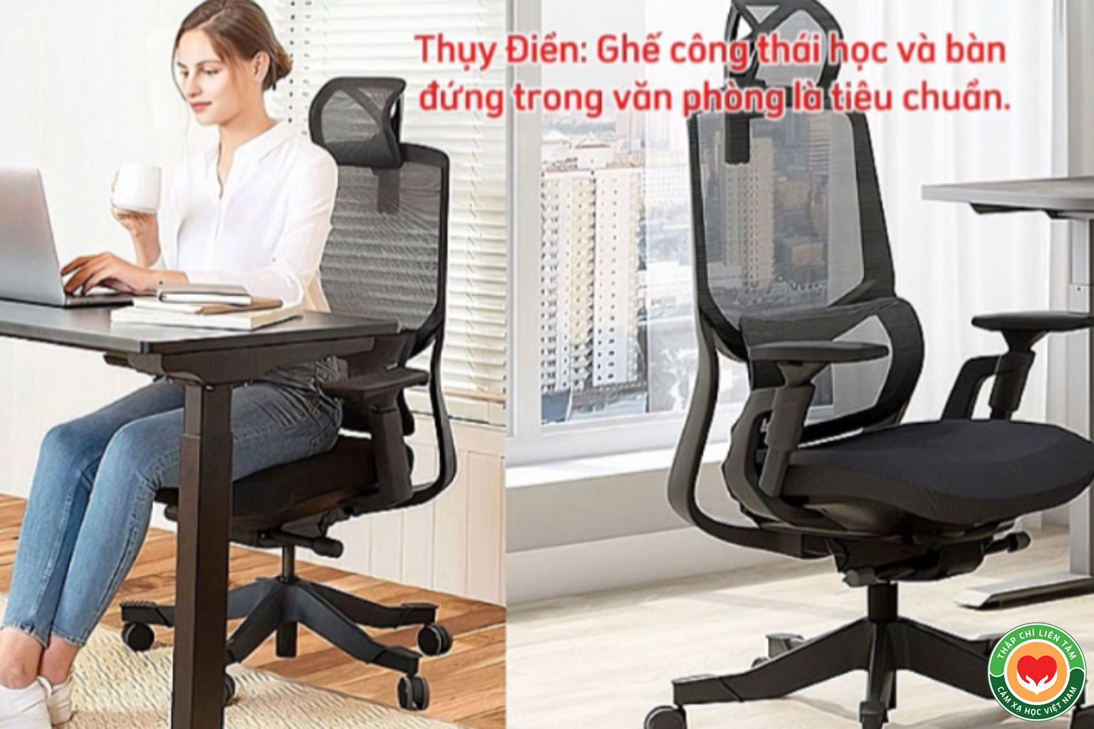 Cách Phòng Ngừa và Điều Trị Đau Lưng Hiệu Quả Toàn Diện ( bài 3)