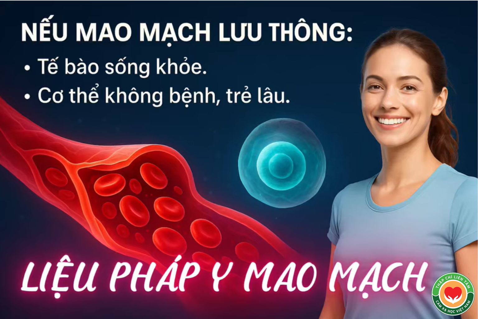 Hệ Thống Mao Mạch: Con Đường Nuôi Dưỡng Sự Sống Của Cơ Thể (bài 4)