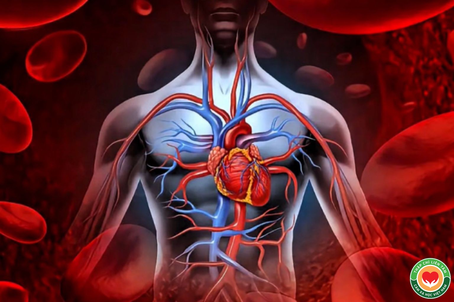 Liệu Pháp Y Mao Mạch và Tam Giác Sức Khỏe: Oxy, Thân Nhiệt, Độ Kiềm (bài 8)