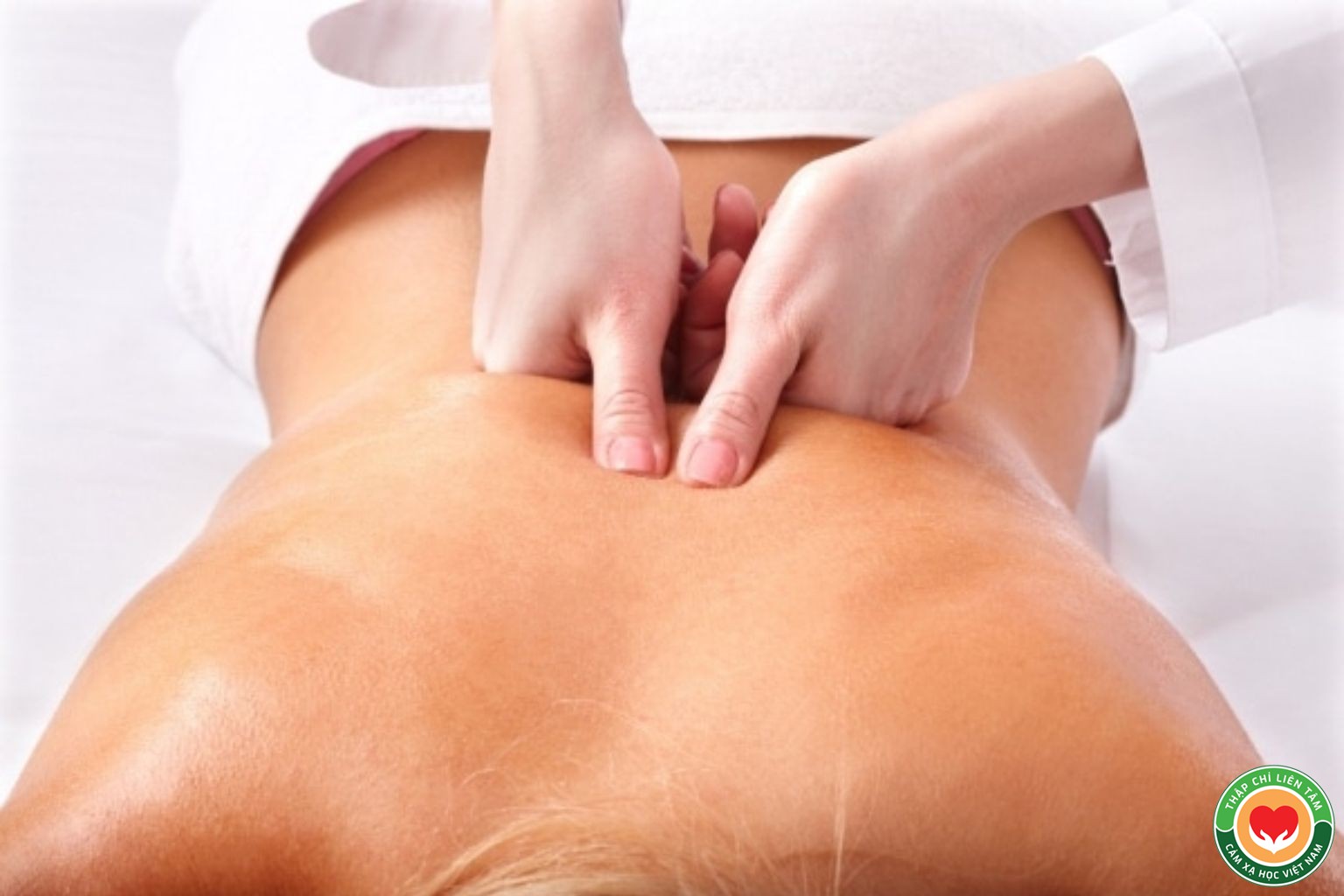 Shiatsu: Sức Mạnh Của Ấn Huyệt và Kỹ Thuật Kiểm Soát Áp Lực (bài 3)