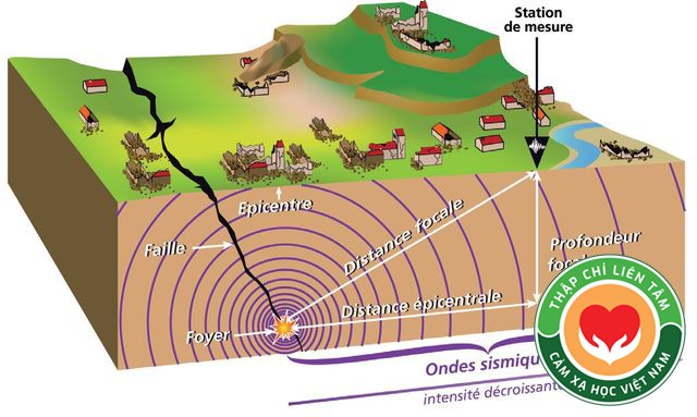 Cảm Xạ Học (Radiesthesie): Định Nghĩa Và Lịch Sử (Bài 01)