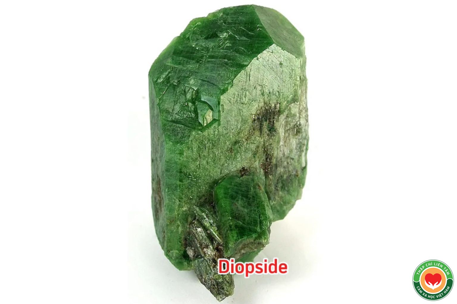 Đá Diopside: Ý Nghĩa, Tác Dụng và Ứng Dụng Trong Thạch Trị Liệu (bài 58)