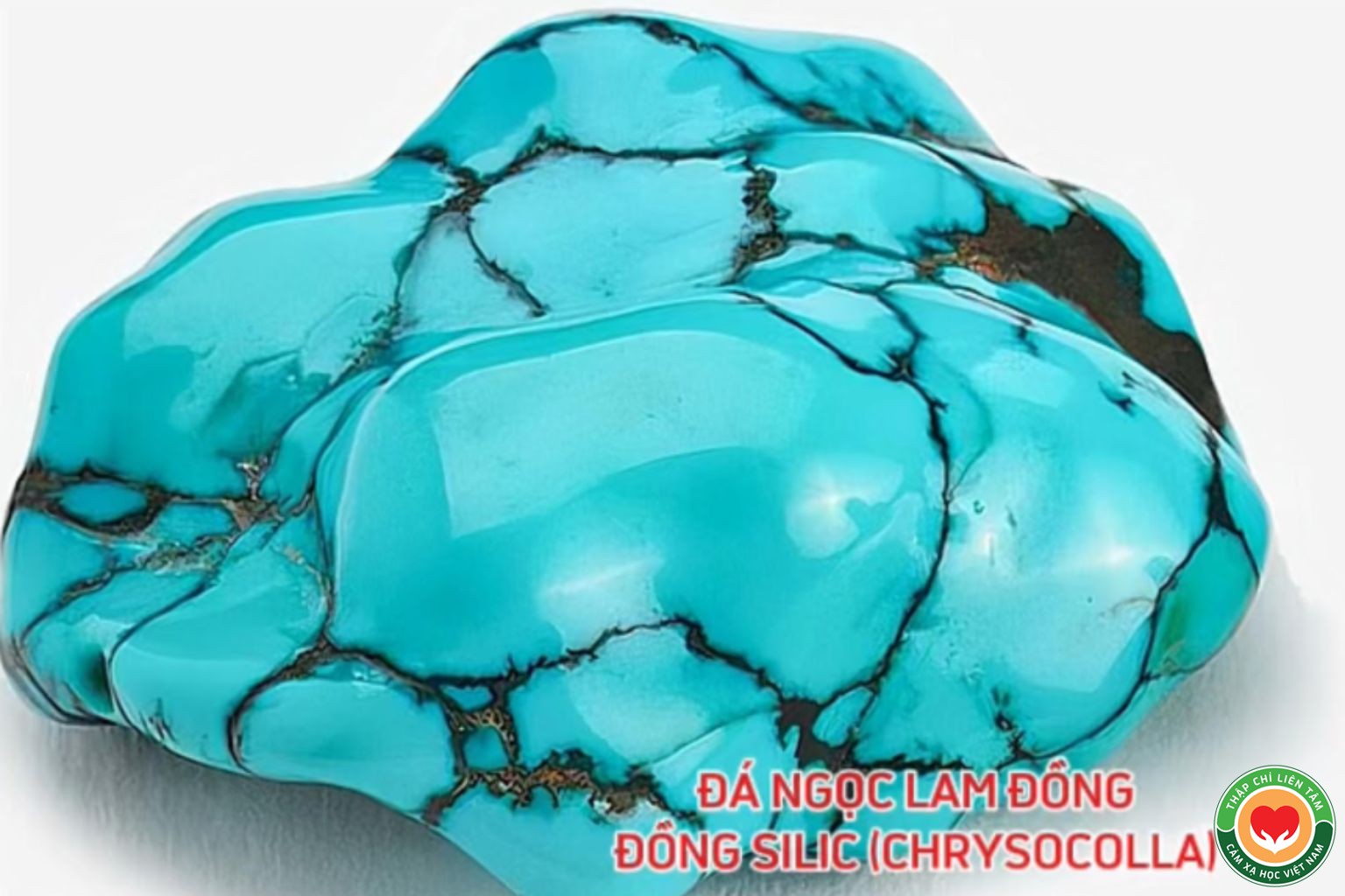 Đá Ngọc Lam Đồng (Chrysocolla): Ý Nghĩa, Tác Dụng và Ứng Dụng (bài 47)