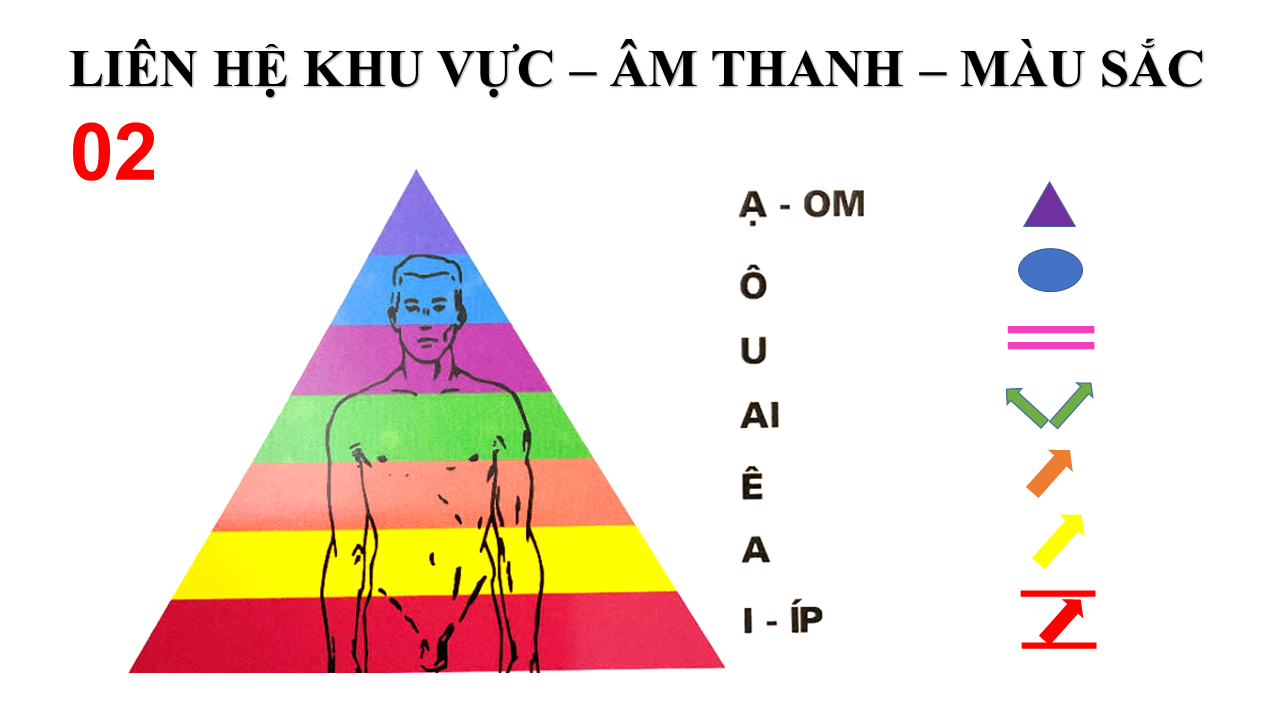 Hệ Thống Hóa Kiến Thức Về Phân Cực Trong Cảm Xạ Y Học (Bài 03)