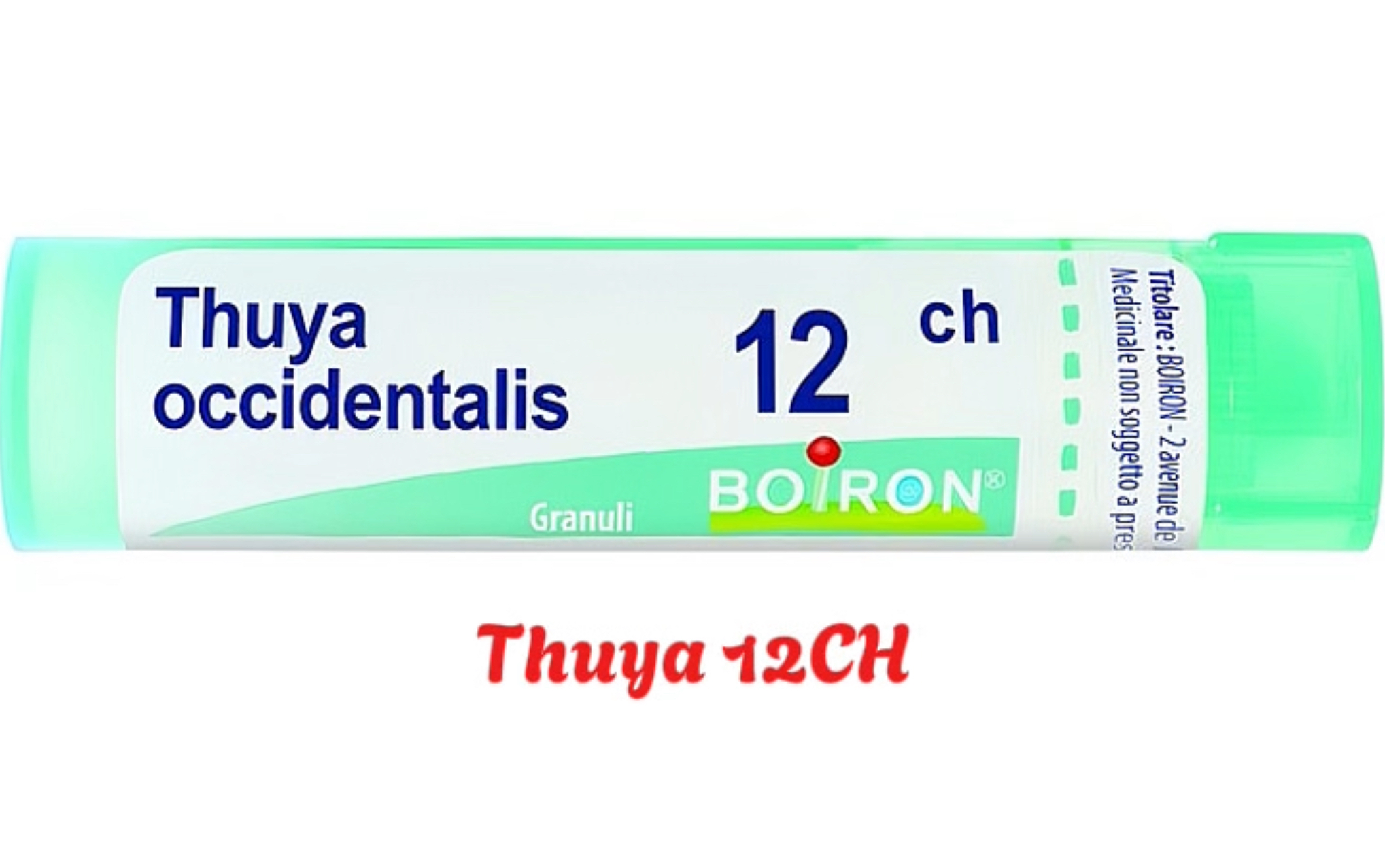 Giới Thiệu Về Cảm Xạ Y Học Và Vi Lượng Đồng Căn (Bài 05)