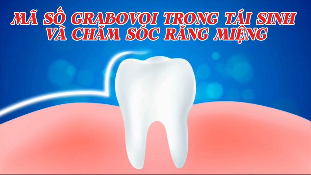 Mã Số Grabovoi: Tái Tạo Răng Miệng Bằng Ý Thức Và Năng Lượng Vũ Trụ (bài 17)
