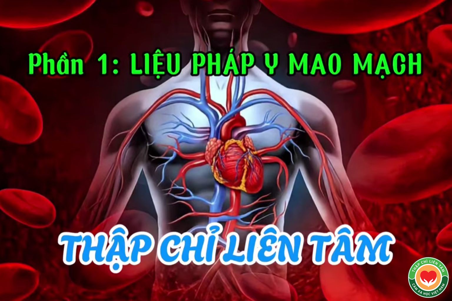 Liệu Pháp Y Mao Mạch: Hiểu Đúng "Thống Bất Thông, Thông Bất Thống" (bài 24)