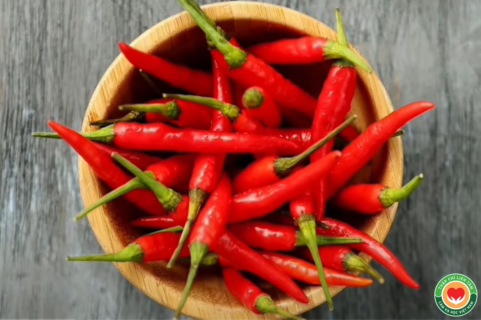 Ớt – Thần Dược Hỗ Trợ Điều Trị Viêm Khớp: Cơ Sở Khoa Học (bài 2)