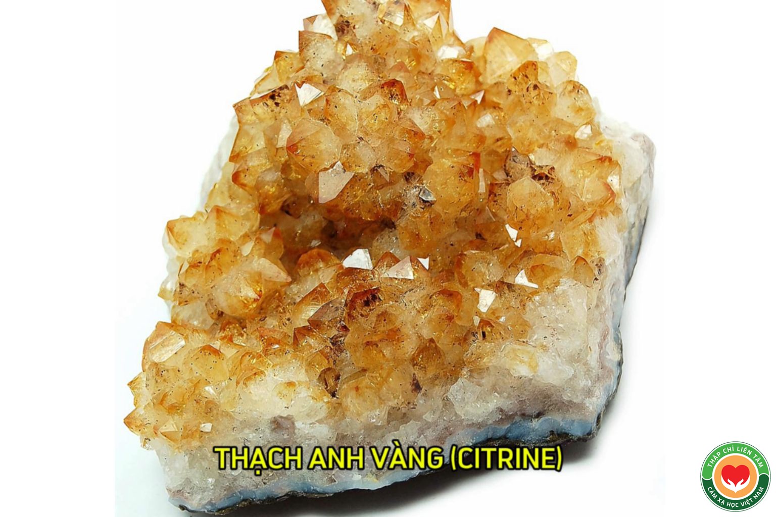 Thạch Anh Vàng (Citrine): Ý Nghĩa, Tác Dụng và Ứng Dụng (bài 50)