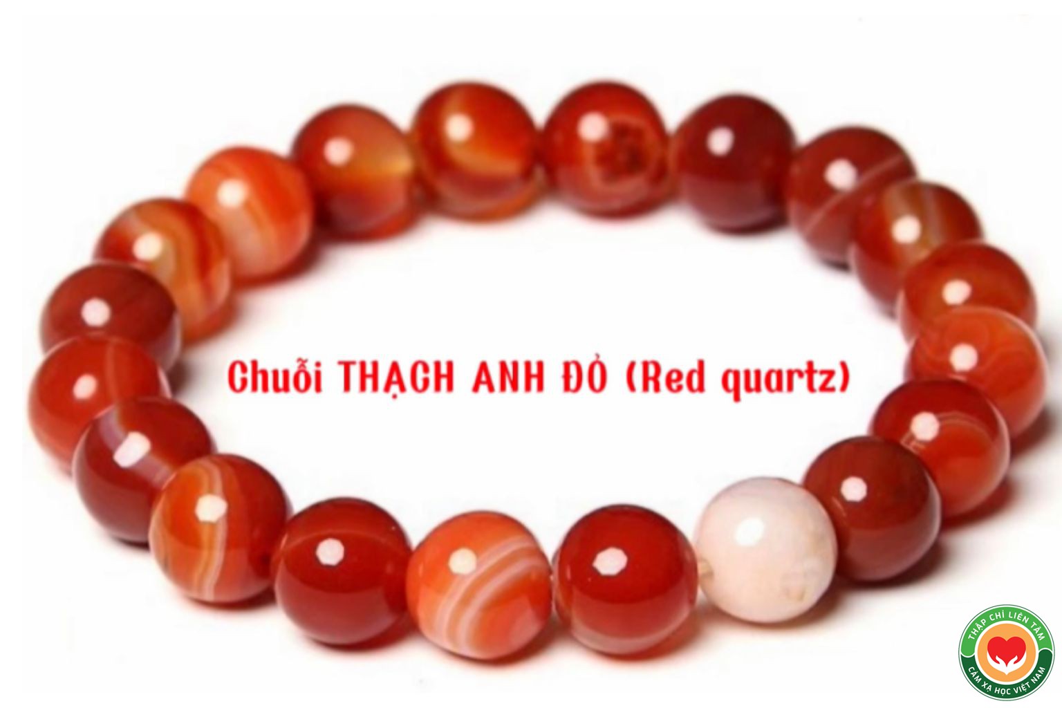 Ý Nghĩa Màu Đỏ với Tinh Thể Thạch Anh Đỏ và Đá Quý (bài 14)