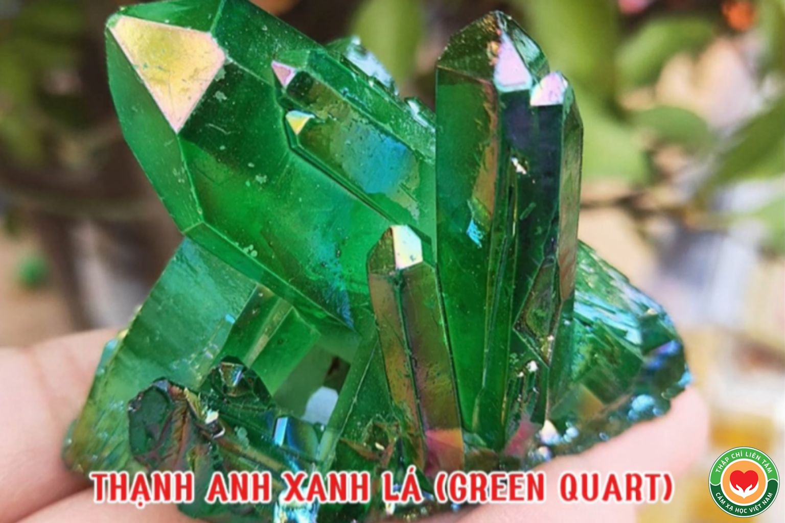 Ý Nghĩa Màu Xanh Lá với Tinh Thể Thạch Anh Xanh Lá và Đá Quý (bài 18)