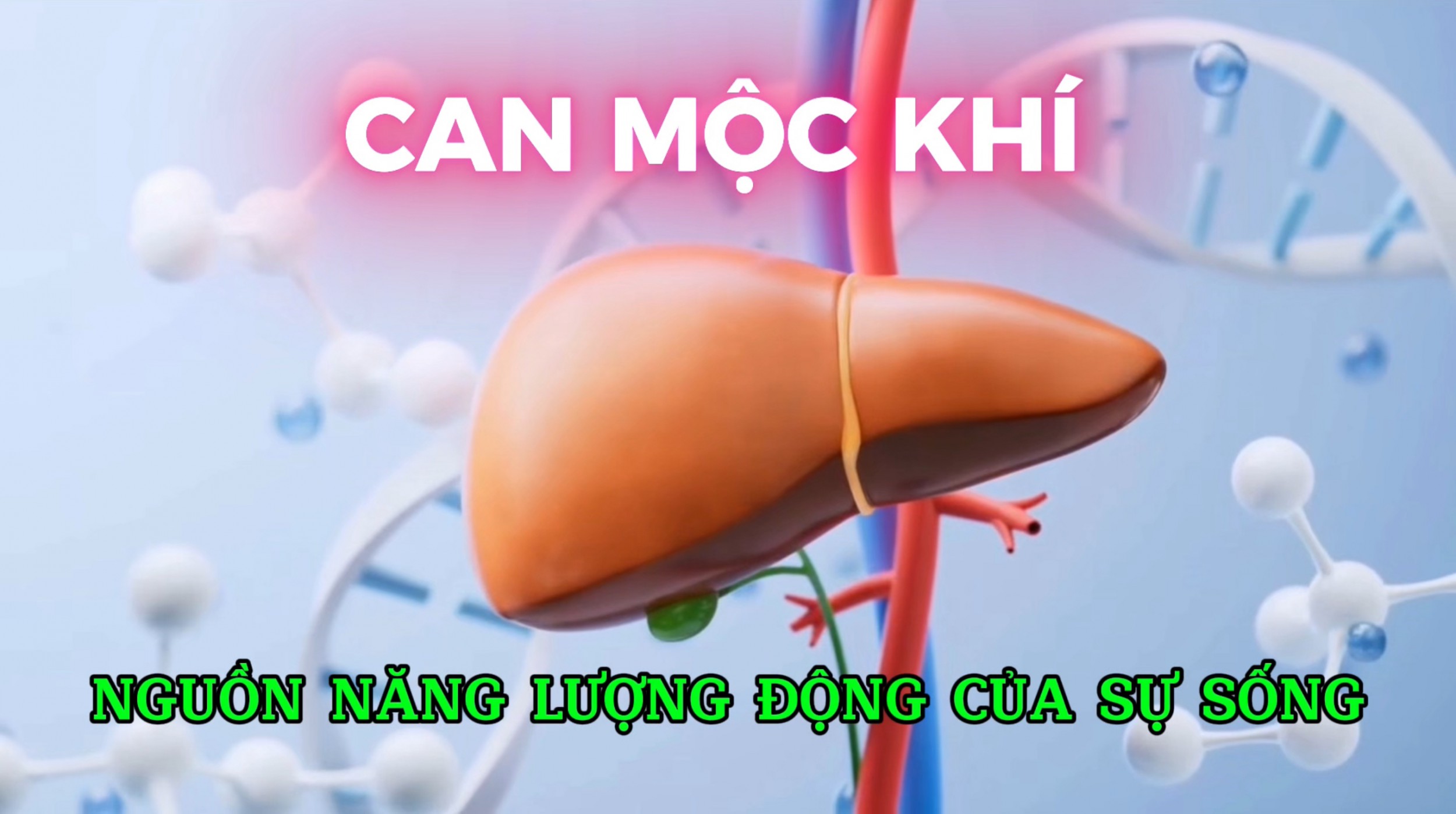 Can Mộc Khí – Nguồn Năng Lượng Động Của Sự Sống (Bài 02)