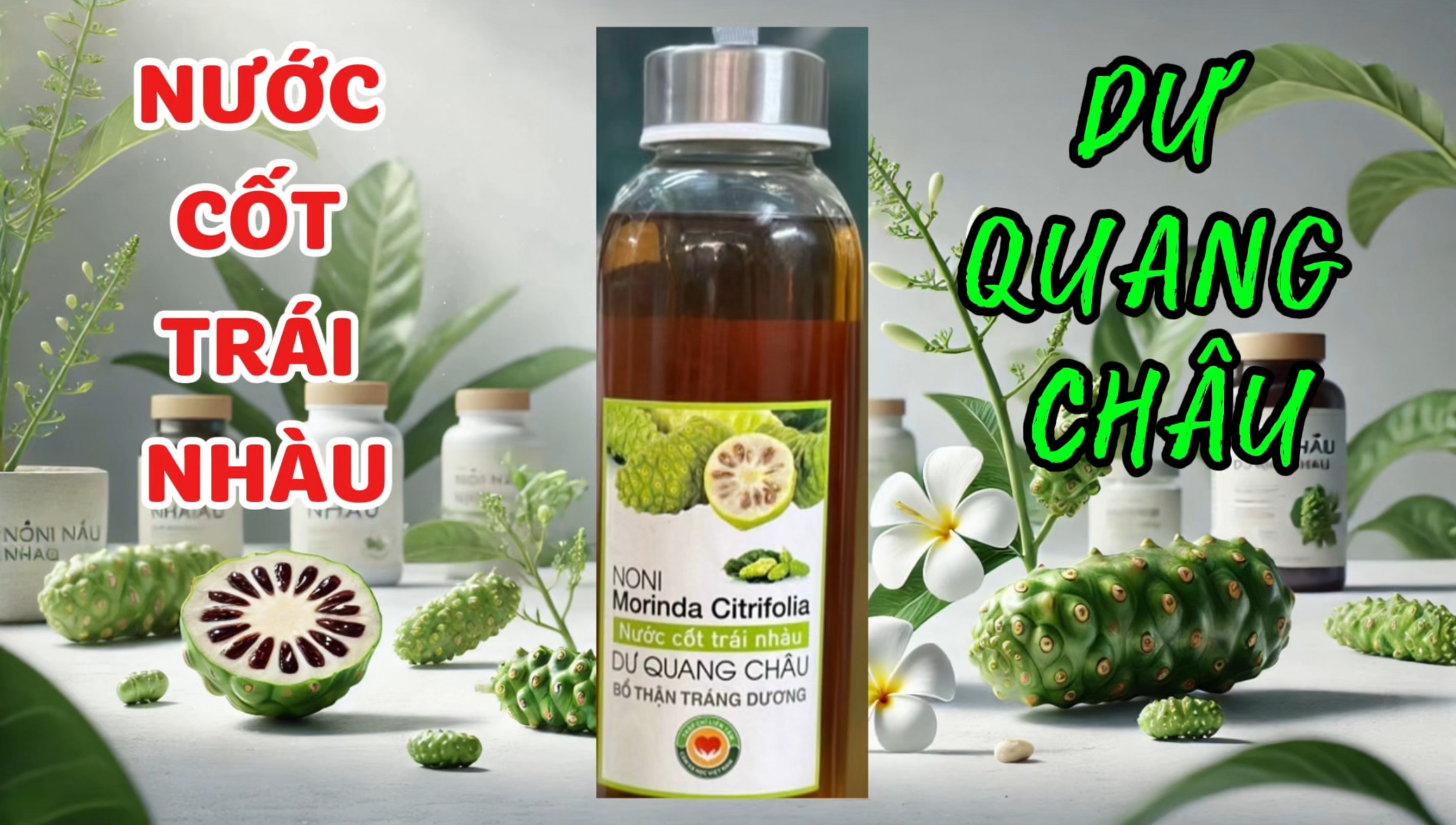 NƯỚC CỐT NHÀU DƯ QUANG CHÂU (“THUỐC GIẢM ĐAU TỰ NHIÊN” TỪ THẢO DƯỢC) (Bài 15)