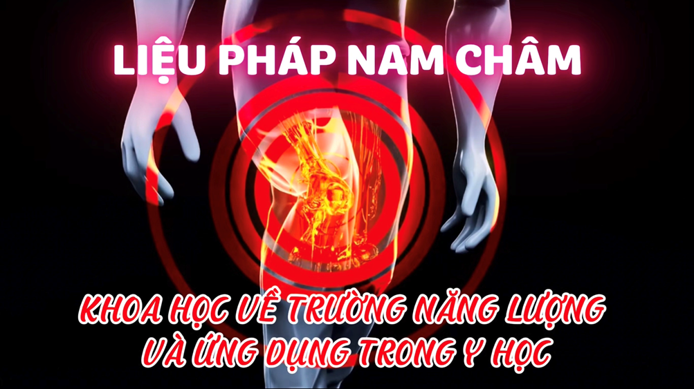 Liệu Pháp Nam Châm: Khoa Học Về Trường Năng Lượng Và Ứng Dụng Trong Y Học (Bài 1)